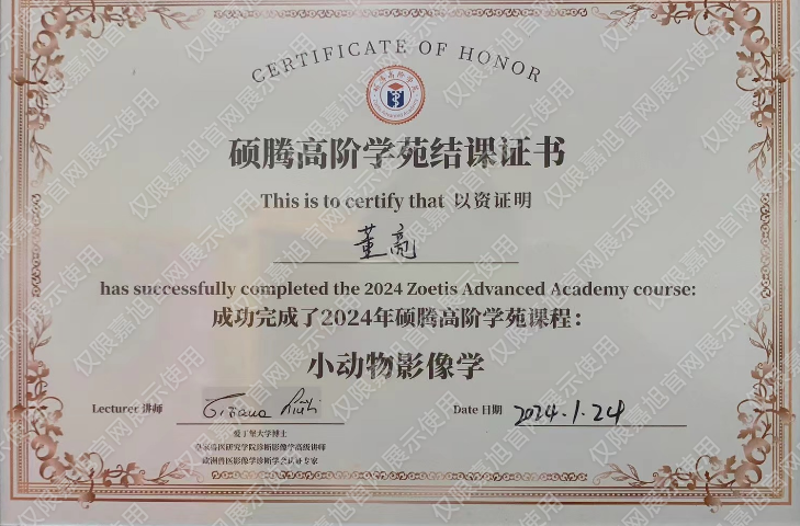 硕腾高阶学苑小动物影像学课程结课证书